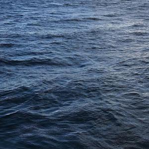 一级毛片黑寡妇
