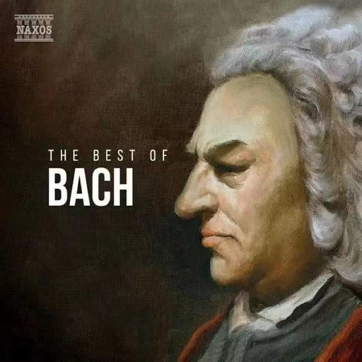 一级毛片黑寡妇
