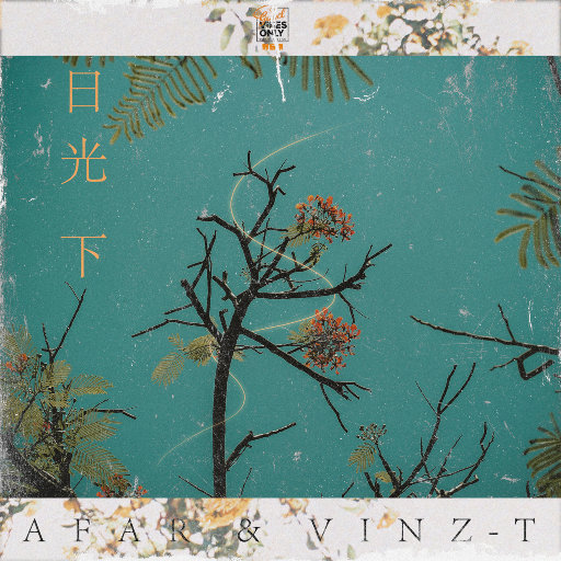 一级毛片黑寡妇
